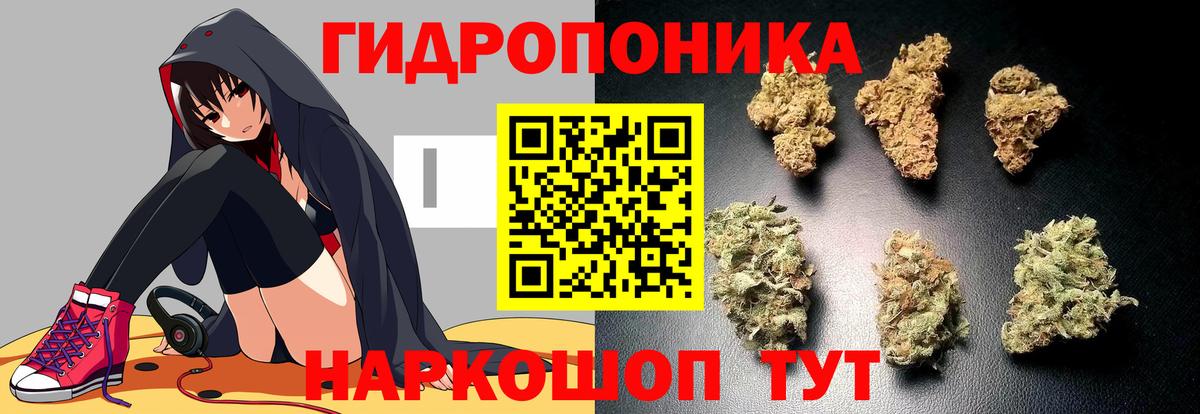 Каннабис AK-47 Кандалакша